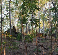 World War II Beyond Darwin - Attractions Perth
