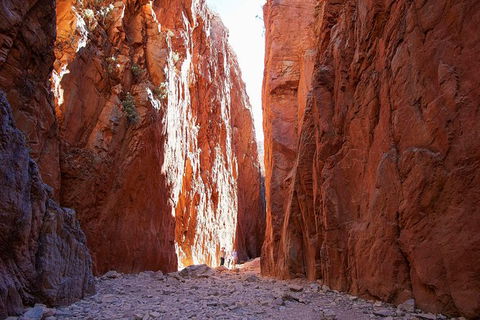 Best Of Alice Springs Full Day Tour - Attractions Perth 6
