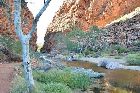 Alice Springs, Uluru Ayers Rock & Kings Canyon 8 Days Touring Package - Attractions Perth 2
