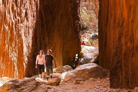 Alice Springs, Uluru Ayers Rock & Kings Canyon 8 Days Touring Package - Attractions Perth 5