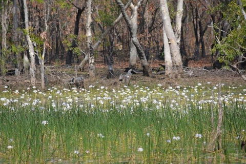 Darwin: Premium Litchfield Regional 11 Hours Tour - Attractions Perth 4