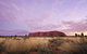 Explore Uluru: 7 Hours Guide Tour At Sunrise With Light Breakfast - thumb 4