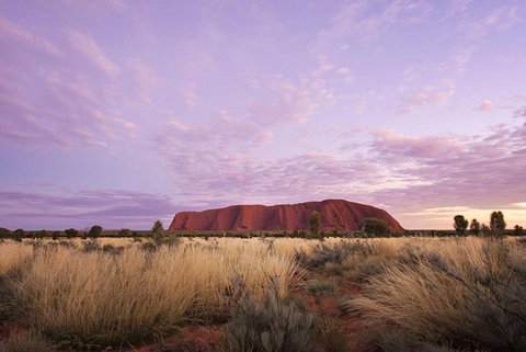 Explore Uluru: 7 Hours Guide Tour At Sunrise With Light Breakfast - Attractions Perth 4