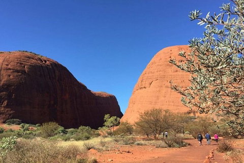 5-Hour Kata Tjuta Sunrise Tour From Ayers Rock With Breakfast - Attractions Perth 2