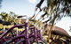 From Yulara: Discover Uluru Half Day Bike Tour - thumb 2