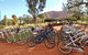 From Yulara: Discover Uluru Half Day Bike Tour - thumb 1