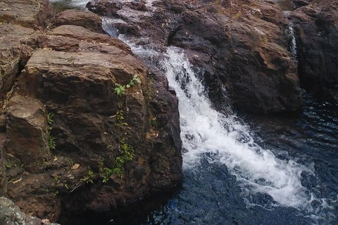 Full-Day Private Guided Tour To Litchfield National Park - Attractions Perth 8