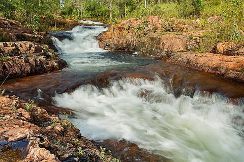 Full-Day Private Guided Tour To Litchfield National Park - Attractions Perth 3