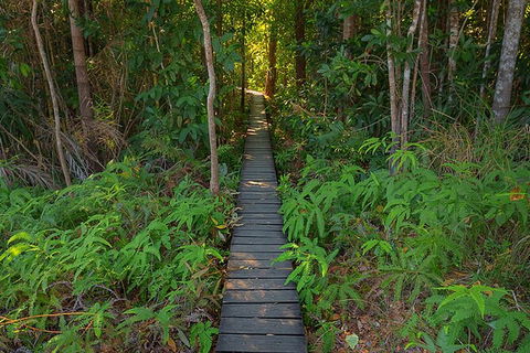 Full-Day Private Guided Tour To Litchfield National Park - Attractions Perth 7