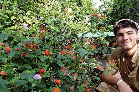Full-Day Private Guided Tour To Litchfield National Park - Attractions Perth 17