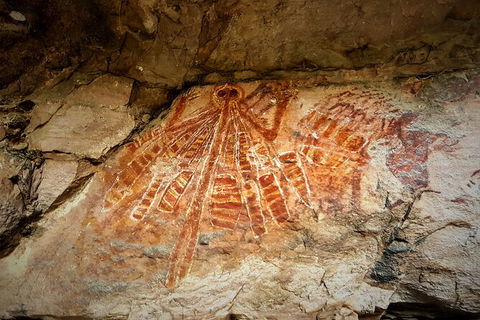 Arnhem Land Injalak Hill Full-Day Tour From Darwin - Attractions Perth 1