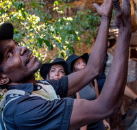 Arnhem Land Injalak Hill Full-Day Tour from Darwin - Attractions Perth