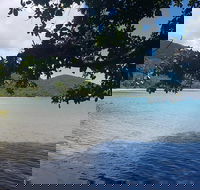 Full Day Tour in the Daintree - Attractions Perth