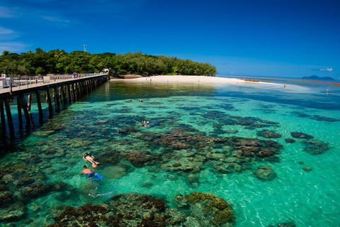 Fly To Green Island - Cruise Return - Attractions Perth 14