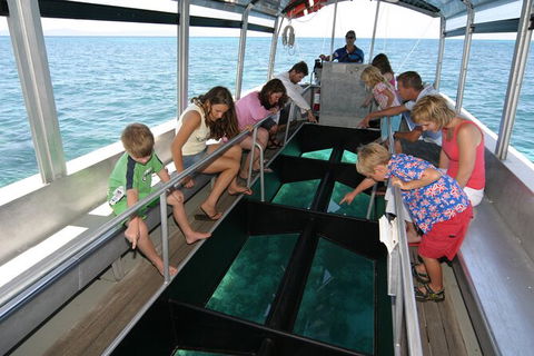 Fly To Green Island - Cruise Return - Attractions Perth 13