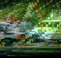 Full Day Rainforest 4WD Tour from Cairns - Attractions Perth