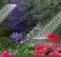 The Original Day Tour to Paronella Park Lake Barrine and Millaa Millaa Falls - Attractions Perth
