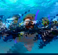 Great Barrier Reef Diving and Snorkeling Cruise from Cairns - Attractions Perth