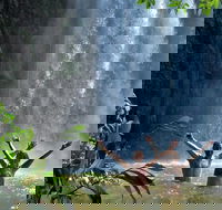 Atherton Tablelands Waterfalls Tour from Cairns - Attractions Perth