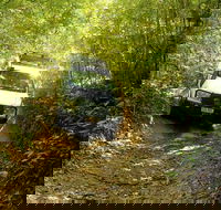 Barron Gorge and Kuranda National Park Half Day Rainforest and Waterfall 4WD Tour from Cairns - Attractions Perth