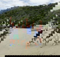 Small Group Daintree Rainforest Tour - Attractions Perth