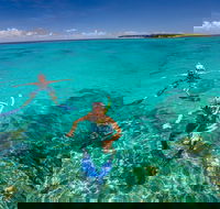 Green Island Discovery Including Glass Bottom Boat Tour Departing Cairns - Attractions Perth
