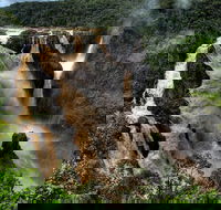 Cairns National Park Rainforest and Waterfall Small Group Tour Shore Excursion - Attractions Perth