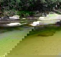 Afternoon Half-Day Daintree Rainforest and River Tour - Attractions Perth