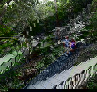 4-Day Cairns with Great Barrier Reef and Daintree Rainforest - Attractions Perth