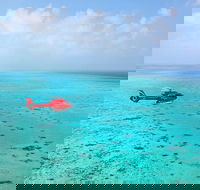 Port Douglas - Cruise and 10 Minute Scenic Flight - Attractions Perth
