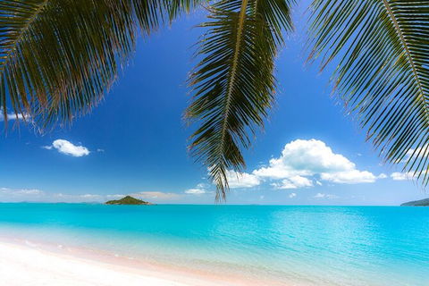 Reef, Wildlife & Rainforest - Reef & Beyond Guided Holidays - Attractions Perth 4