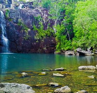 Reef Wildlife  Rainforest - Reef  Beyond Guided Holidays - Attractions Perth