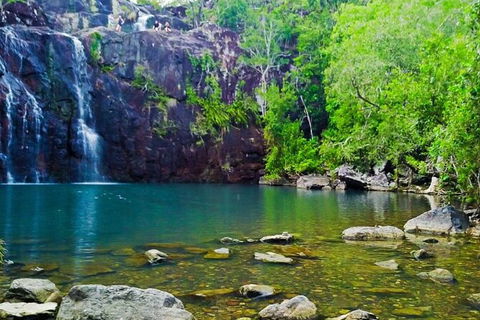 Reef, Wildlife & Rainforest - Reef & Beyond Guided Holidays - Attractions Perth 0