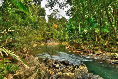 Reef, Wildlife & Rainforest - Reef & Beyond Guided Holidays - Attractions Perth 3