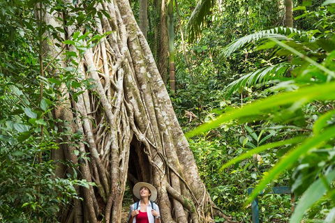 Reef, Wildlife & Rainforest - Reef & Beyond Guided Holidays - Attractions Perth 2