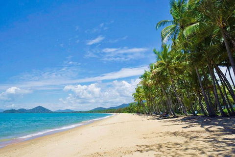 Airport Transfer - Cairns Airport To Palm Cove, Kewarra & Trinity Beaches - Attractions Perth 4