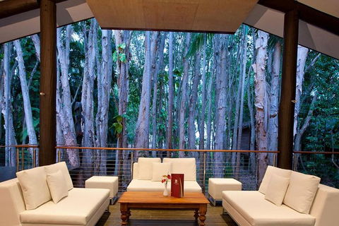 Airport Transfer - Cairns Airport To Palm Cove, Kewarra & Trinity Beaches - Attractions Perth 2