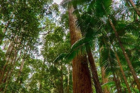 3-Day Fraser Island Hiking And 4WD Adventure From Hervey Bay - Attractions Perth 1