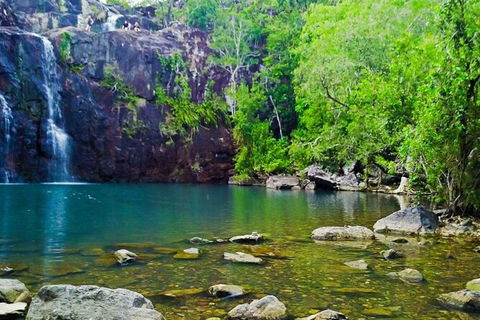 Rainforest To Reef Experience - Reef And Beyond Guided Holidays - Attractions Perth 5
