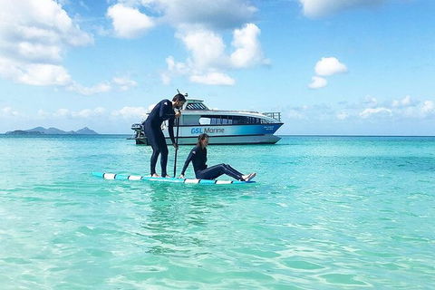 Rainforest To Reef Experience - Reef And Beyond Guided Holidays - Attractions Perth 3