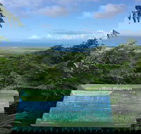 Daintree Luxury Limousine Tour - Full Day - Attractions Perth