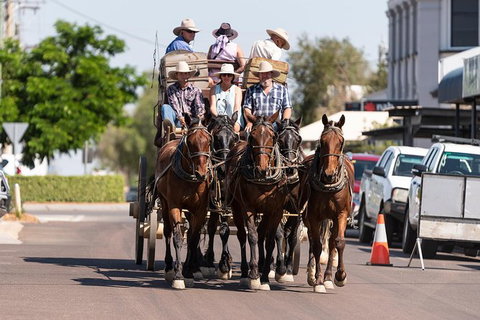 Cobb And Co Stagecoach Experience - Attractions Perth 6
