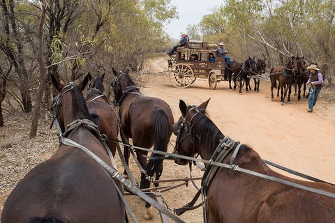 Cobb And Co Stagecoach Experience - Attractions Perth 1