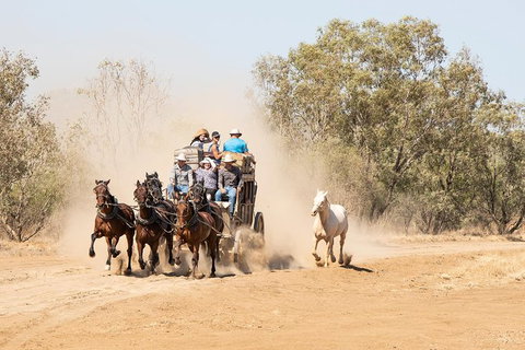 Cobb And Co Stagecoach Experience - Attractions Perth 0