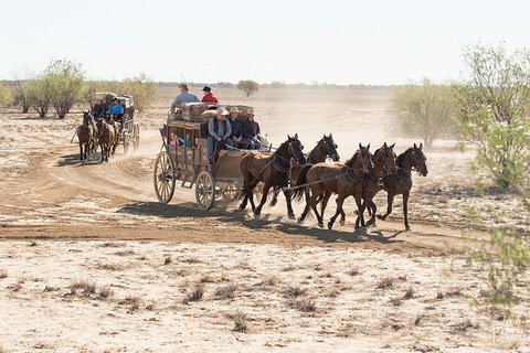 Cobb And Co Stagecoach Experience - Attractions Perth 4