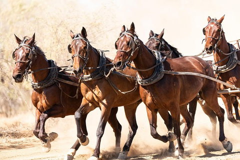 Cobb And Co Stagecoach Experience - Attractions Perth 2