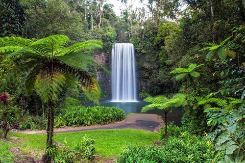 Cairns & Port Douglas All-Inclusive 7 Days Touring Package - Attractions Perth 5