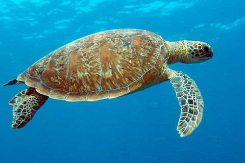 Cairns & Port Douglas All-Inclusive 7 Days Touring Package - Attractions Perth 1
