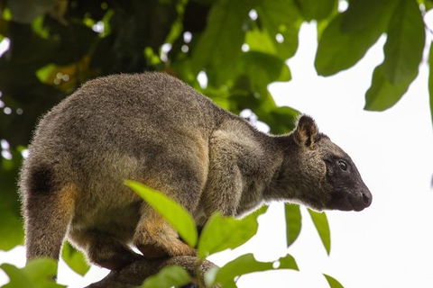 Cairns & Port Douglas All-Inclusive 7 Days Touring Package - Attractions Perth 8