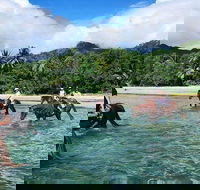 Afternoon Beach Horse Ride in Cape Tribulation - Attractions Perth
